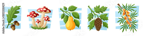 A cozy autumn collection of oak leaf with acorns, mushrooms, pear, fir cone, and sea buckthorn. A autumn themed vector cartoon illustration set.