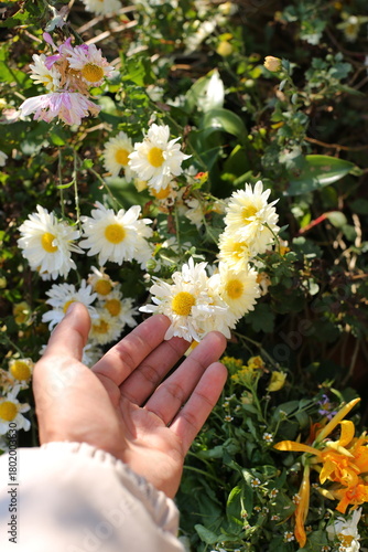 A flower captures light with effortless grace. Its petals form natural textures and layers, creating depth and contrast that shift with every angle. Even the slightest breeze shapes its silhouette, tu