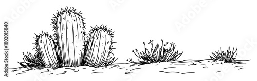 cactus plant desert scene vector sketch fine lines in ink engraving style