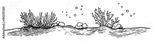 ocean bottom coral scene hand drawn doodle sketch vector black shape