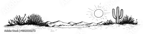sunny cactus desert scene sketch