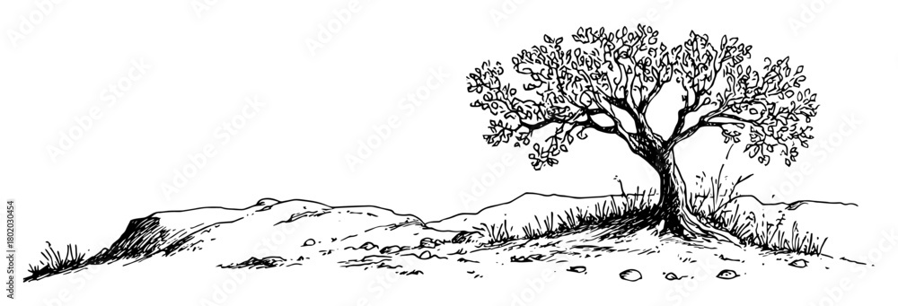 Fototapeta premium old tree on rocky hill sketch