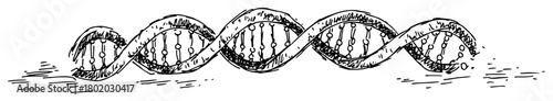 dna double helix sketch hand drawn