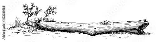 fallen tree log in nature sketch