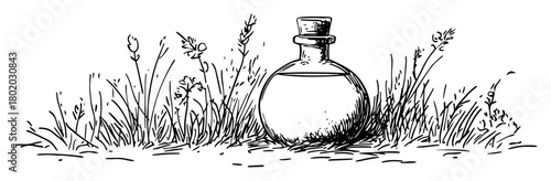 potion bottle in wild grass sketch