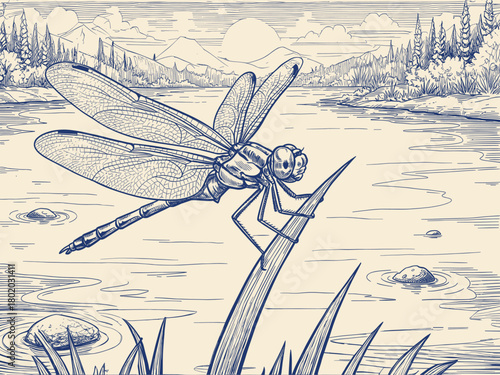 Hand-Drawn Illustration of a Majestic Dragonfly Resting Gracefully by a Calm Lakeside Surrounded by Mountains and Forests