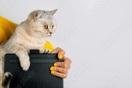 Cat with Drawing Tablet