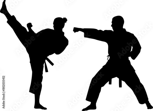Silhouette of two men practicing martial arts, isolated, Two men practicing karate silhouette, Two karate men fighters in a match