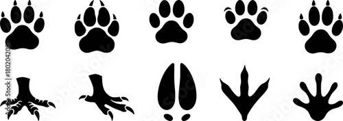 Silhouette of Different animal paw , vector illustrations