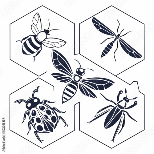 Collection of insects in hexagon shapes isolated on, featuring bee, mosquito, ladybug, and wasp