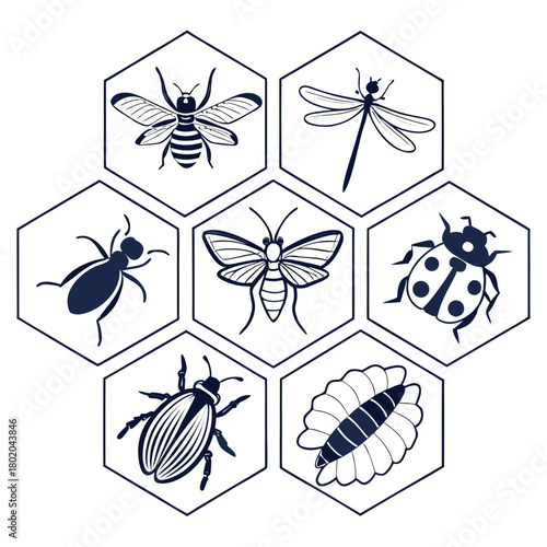 Collection of insects in hexagon shapes isolated on, featuring bee, dragonfly, moth, ladybug, beetle, and larva
