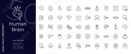 Human Brain Line Editable Icons set