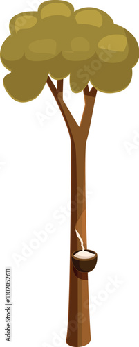 Latex dripping into a coconut shell from a tapped rubber tree in a tropical plantation