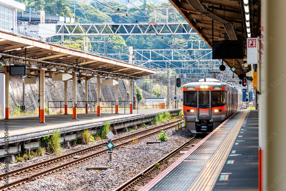 Obraz premium Japanese passenger train arriving at a scenic suburban or rural station platform on a sunny day, showcasing modern railway infrastructure.