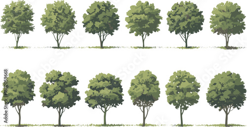 Collection of green park trees illustration, deciduous tree set, landscape design elements, nature foliage, outdoor vegetation, garden forest clipart