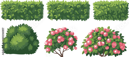 Green garden hedges and flowering bushes illustration set, landscape foliage plants, decorative shrub clipart, outdoor nature vegetation elements