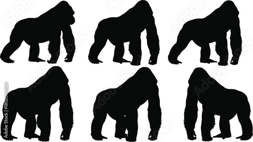 Photos Gorilla silhouette vector set, wild animal illustration, strong primate graphics