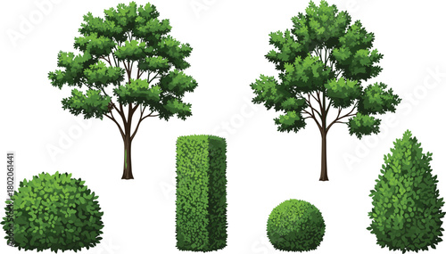Green trees and bushes illustration set, garden landscape foliage collection, nature plant design, outdoor park greenery, eco botanical elements