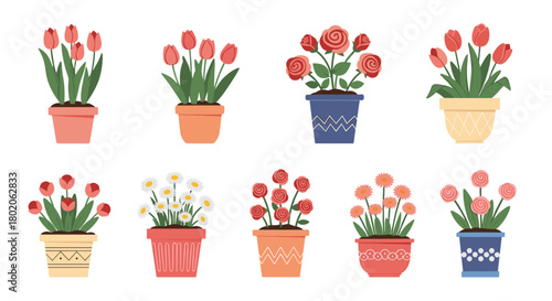 A collection of potted flowers in various colors and styles for decorative purposes.