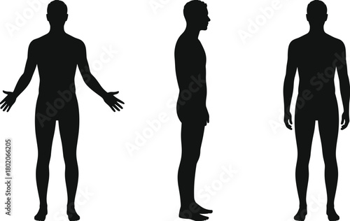 Male human body silhouette front side back view, anatomical reference figure, standing man posture, medical illustration, body shape outline