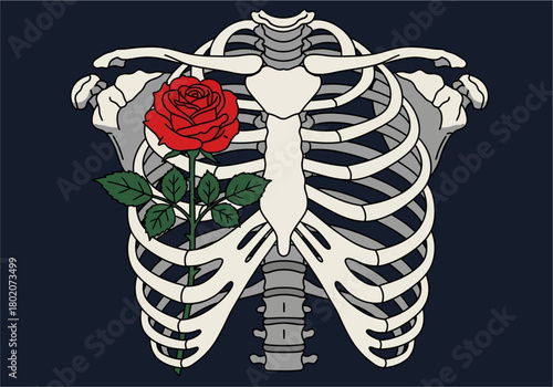 vintage skeletal rib cage dark blue. Inside the rib cage, on the viewer's left side, is a single red rose illustration with green leaves.