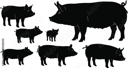 Set of black pig silhouettes, collection of farm animals, sow, boar, and piglet icons, livestock vector graphics, isolated illustration.
