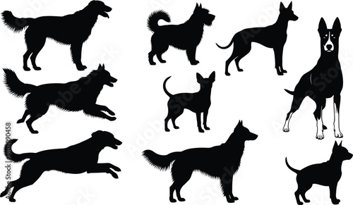 Set of black dog silhouettes, collection of various breeds like retriever, terrier, shepherd, pet animal poses, running, standing, isolated vector illustration.