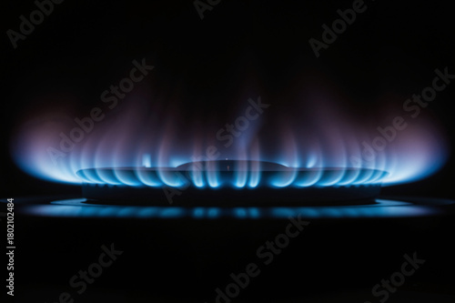 Biogas Burner Flame – Eco-Friendly Energy Solution for Sustainable Home Cooking and Renewable Technology Presentations