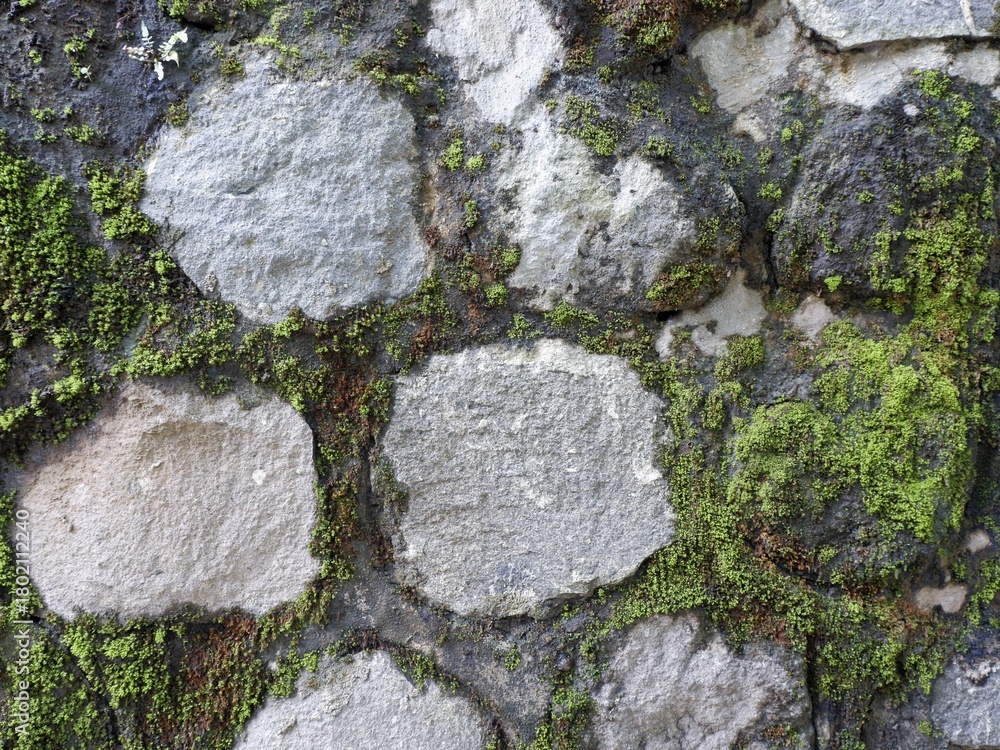 Fototapeta premium Detailed macro view of a weathered stone wall with a rustic texture and vibrant green moss growing in the crevices.