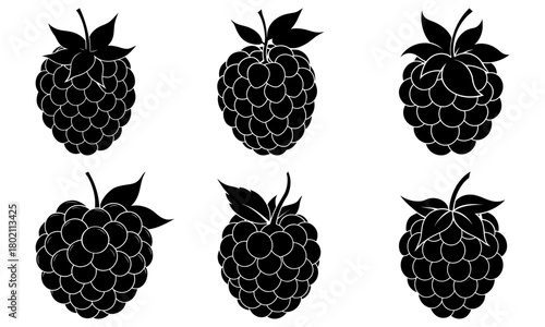 Illustration of six blackberries with leaves in black and white in a symmetrical arrangement format