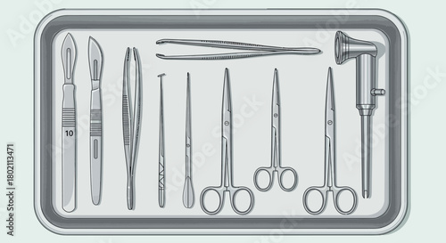 Collection essential surgical tools laid out in sterile metal tray, featuring scalpels, forceps, needle holders, and scissors, ready for use in medical setting