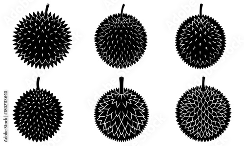 Six durian fruits in black and white showing different spike patterns and stem positions in a group of six