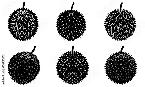Collection of six durian fruits in black and white with distinctive spiky outer shells and short stems