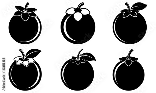 Illustration of six mangosteen fruits in black and white with leaves and flower details visible clearly