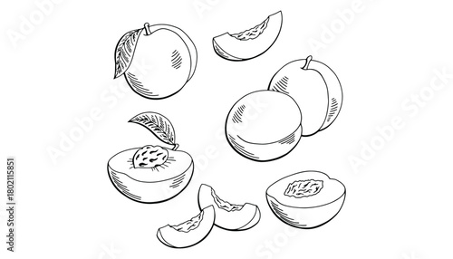 A black and white line art drawing of several peaches and peach slices