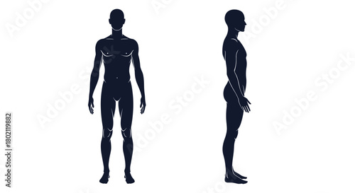 Silhouettes of a male figure in front and side views, showcasing human anatomy and form for design or educational purposes.