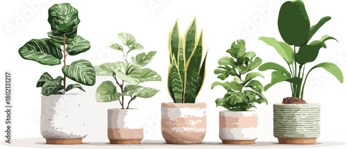 Pot Plant vector art