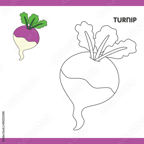 Turnip Copy Colour worksheet for kids