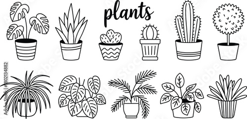 Potted plant line illustration set with leafy, succulent, cactus, and flowering foliage in black vector style