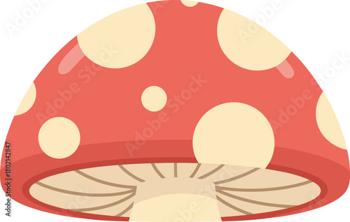 Illustration of a red mushroom with white spots, cartoon style, isolated on white.