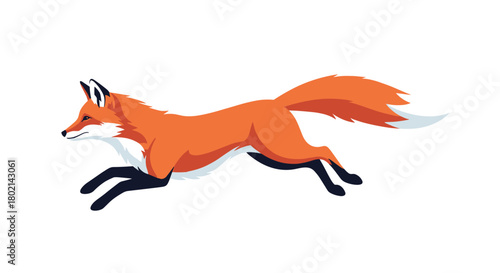 A sleek red fox runs swiftly across a white background with its bushy tail extended.