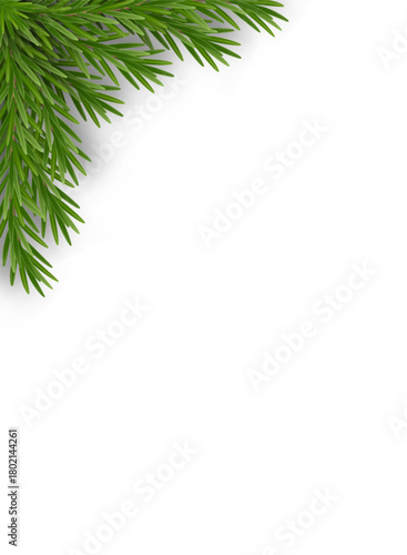 Fir branches vector corner border. Christmas fir branches and winter fir branches placed in the upper left corner on white background. Clean layout for cards, banners, posters, seasonal designs