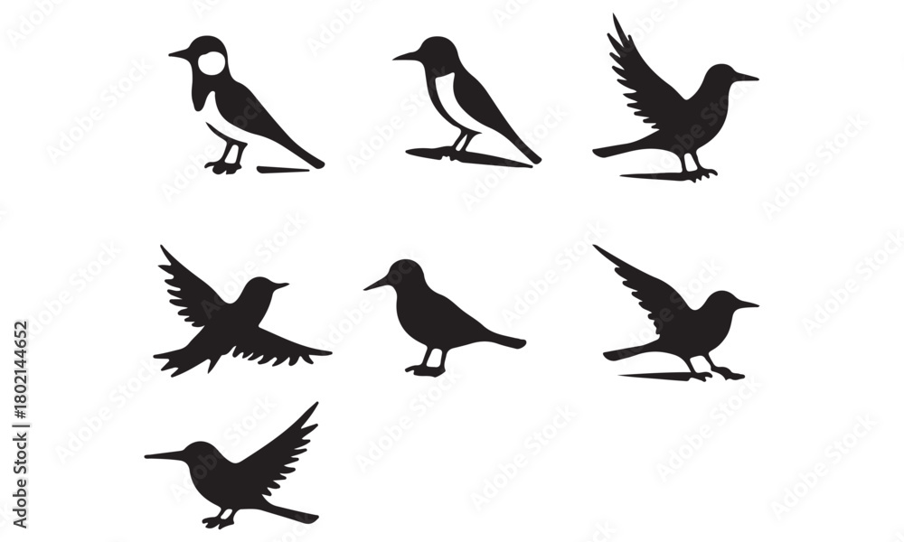 Obraz premium Collection of Black Bird Silhouettes in Various Poses