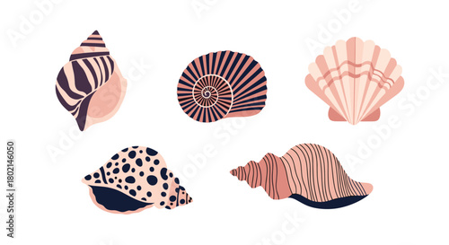 A collection of five illustrated seashells with muted pink and dark purple colors on a white background.