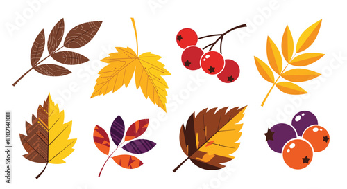 Collection of stylized autumn leaves and berries in warm fall colors on a white background.