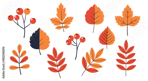 Flat design illustration of autumn leaves and berries on a white background.