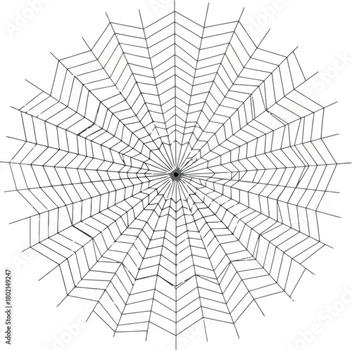 A detailed illustration of a circular spiderweb against a white background