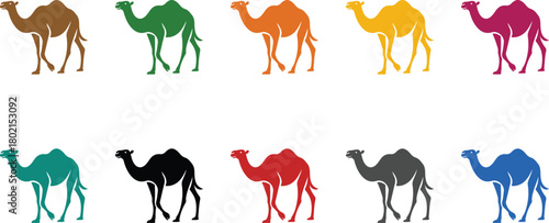 Colorful camel silhouettes walking desert dromedary, Multicolor walking camel icons