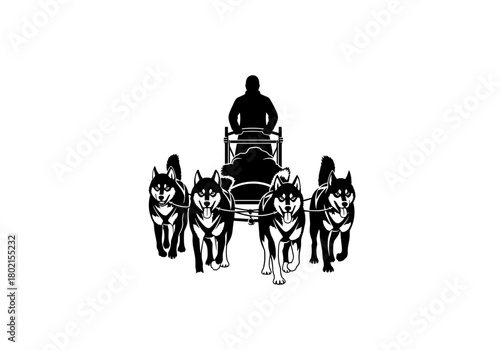 Man sledding with huskies in winter landscape  