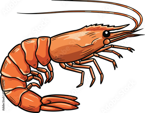 Shrimp vector illustration, cartoon seafood design, orange crustacean drawing, marine animal artwork, culinary ingredient silhouette, decorative ocean creature graphic